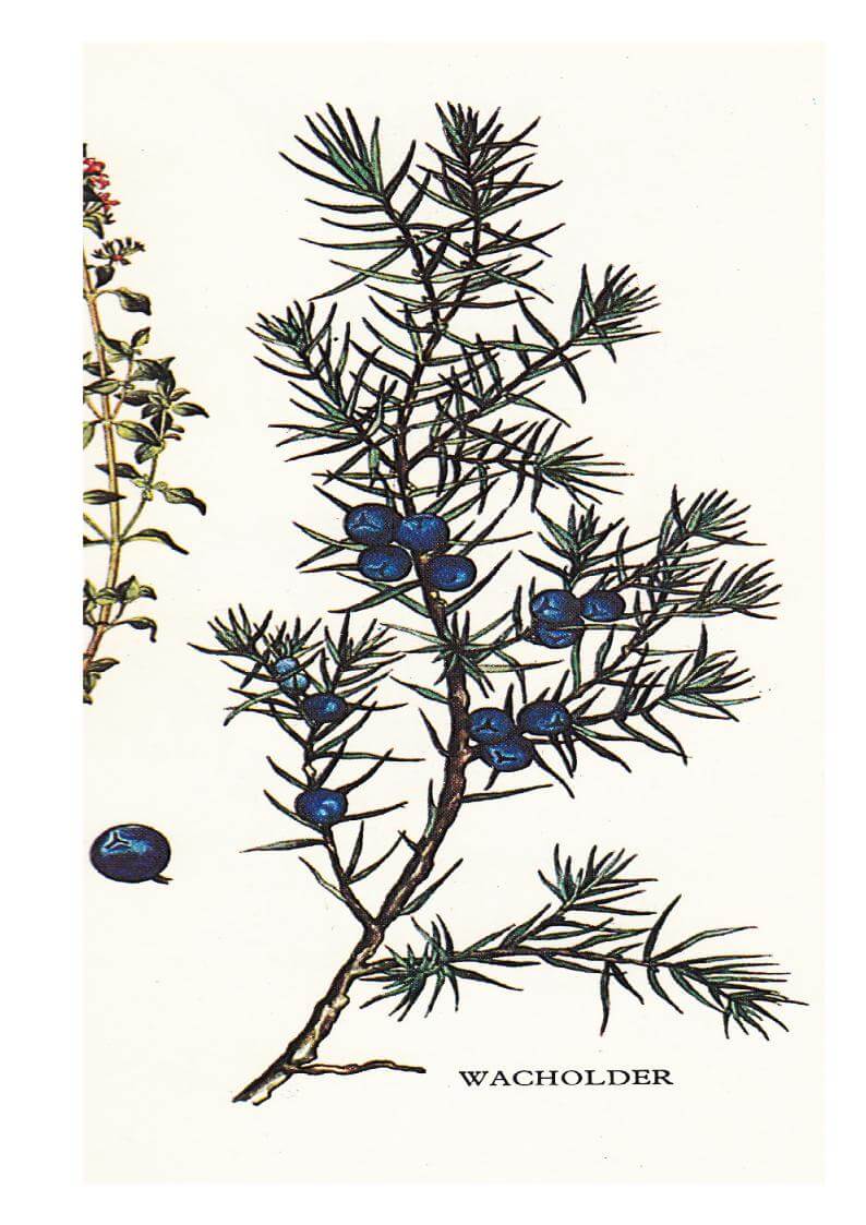 Mal wieder ein Räucherstäbchen anzünden? Wohlgeruch und Wohlbefinden