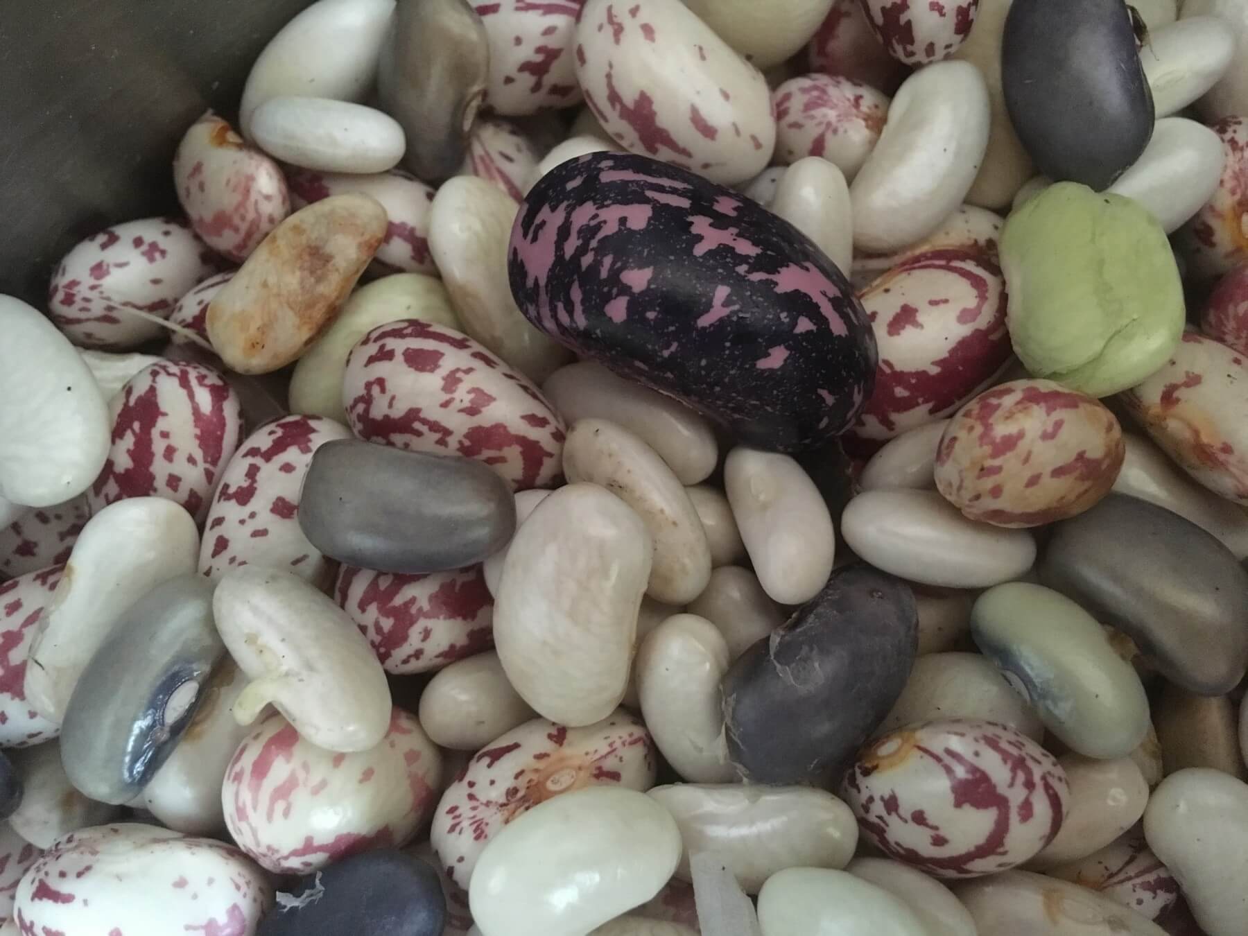 Von Bohnen und Bunkerkruste