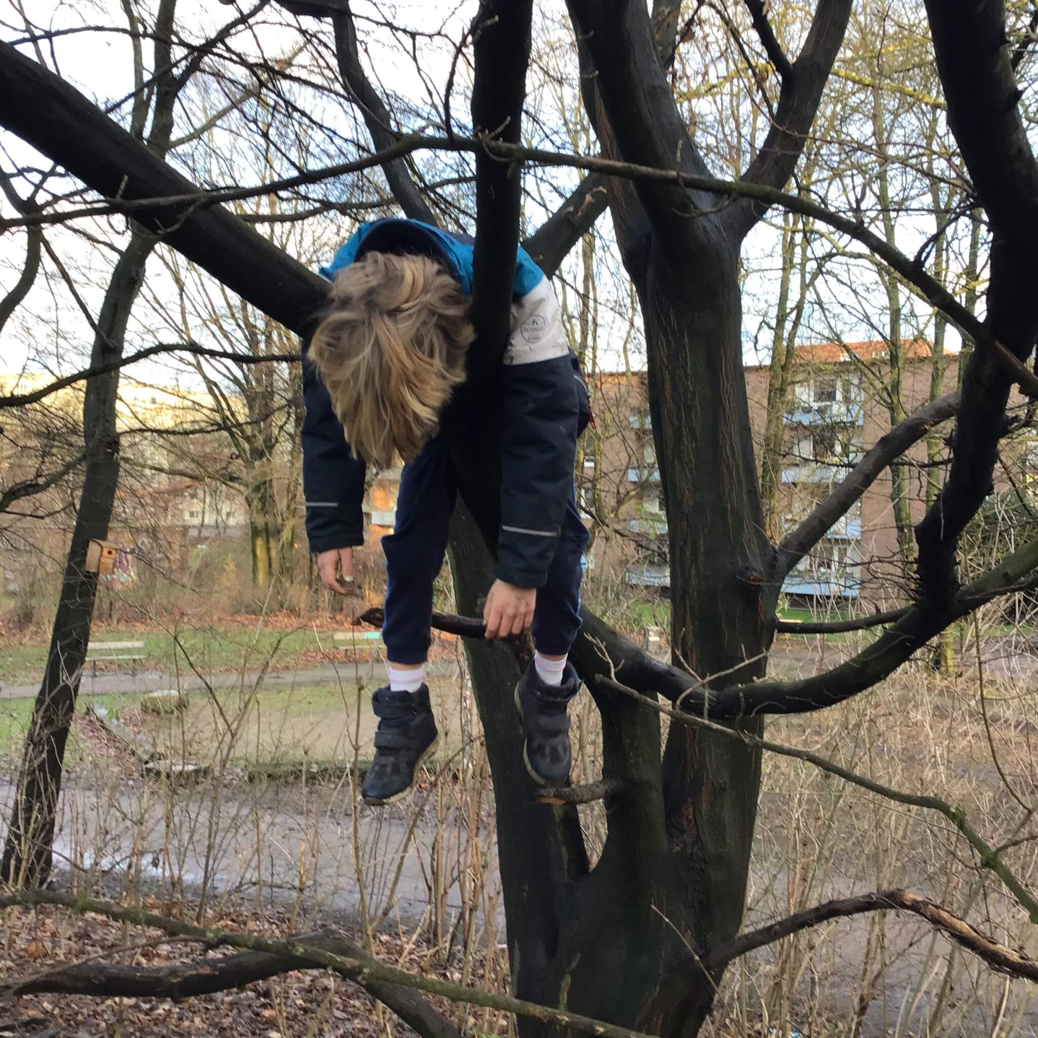 Um die Ecke – Nachbarschafts-Ökologie