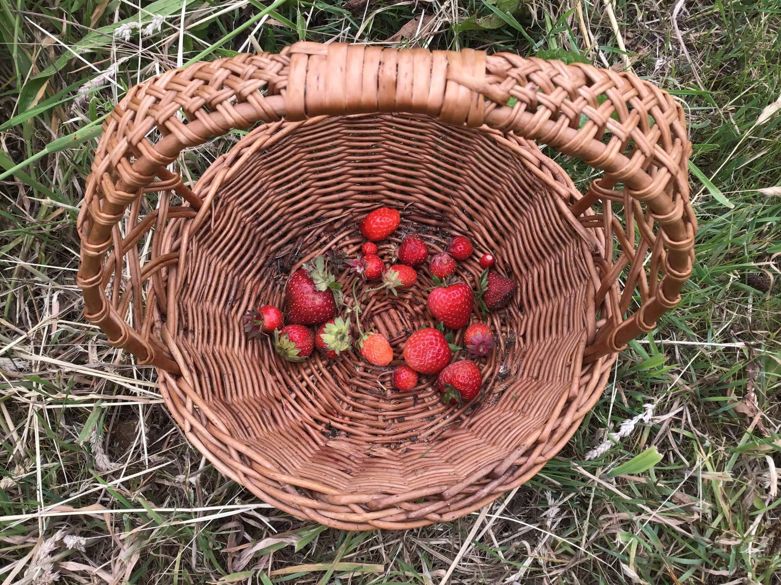 Altes & NEUES AUS NEUENGAMME & benachbarten Landen TEIL II: Bei den Bracks